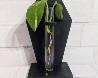 Coffin Propagation Stand - Plant Stand