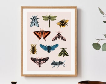 Rainbow Insects - Altered Vintage Illustration Collage Print