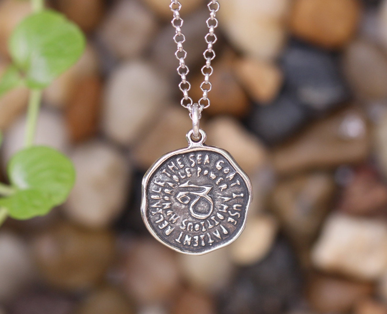 Capricorn Pendant Necklace Zodiac Sign 