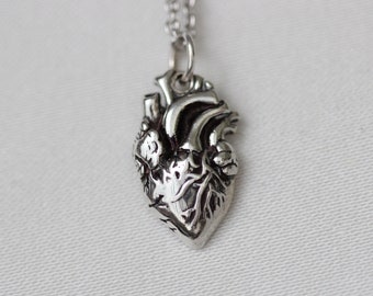 Anatomical Heart Necklace, Sterling Silver Anatomical Charm on a Sterling Silver Chain, Realistic Heart Necklace, Christmas Gifts.