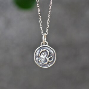 Capricorn Pendant Necklace, Zodiac Sign Jewelry, Zodiac Symbol necklace, Birthday gift, Christmas Gifts.