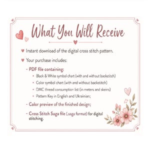 May include: A digital information card titled What You Will Receive, featuring pink heart and floral illustrations. It lists contents for a cross stitch pattern, including PDF files with black and white or color symbol charts, a DMC thread list, and a .saga file.