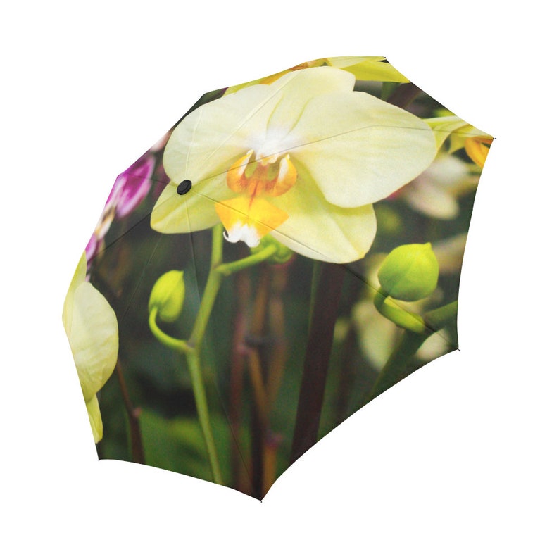 Flower Umbrella Orchid Umbrella Yellow Umbrella Designed Etsy