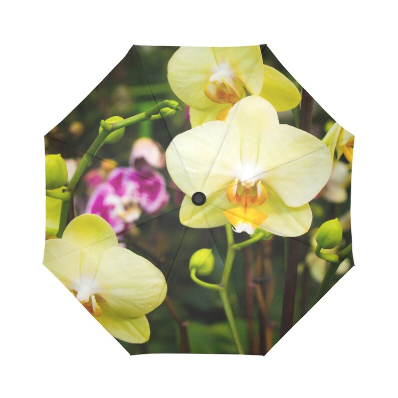 Flower Umbrella Orchid Umbrella Yellow Umbrella Designed Etsy
