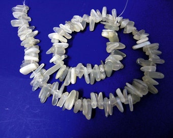 Moonstone teeth 15-12x6-8 mm gemstone strand, chain strand