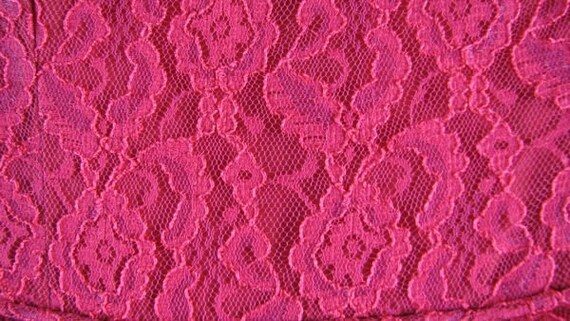 1960s Raspberry Lace Gown and Matching Jacket....… - image 5