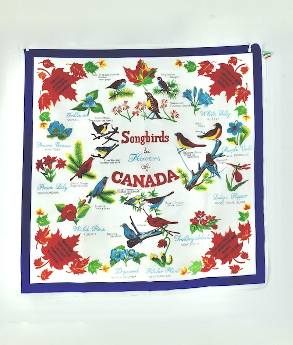 Vintage Songbirds & Flowers of CANADA Scarf........27 inch square........Mint Condition .......Made in Italy