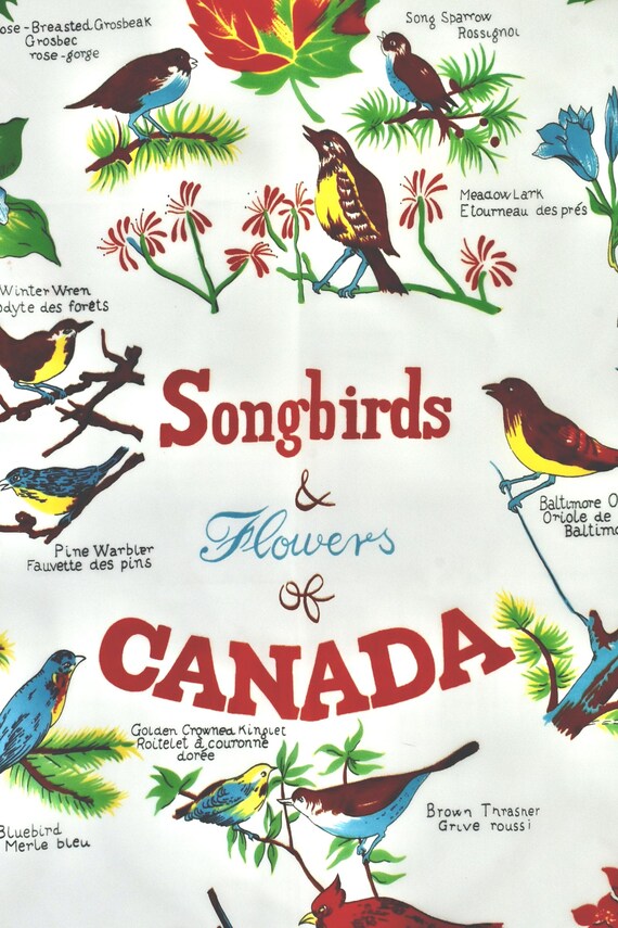 Vintage Songbirds & Flowers of CANADA Scarf........27 inch square........Mint Condition .......Made in Italy View 3