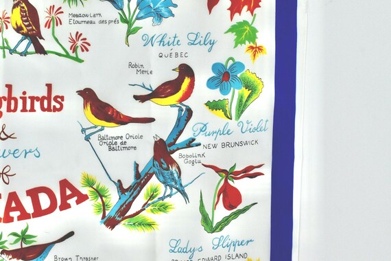 Vintage Songbirds & Flowers of CANADA Scarf........27 inch square........Mint Condition .......Made in Italy View 5
