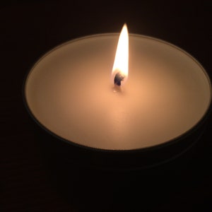 May include: A white candle with a single flame burning in the center.