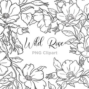 Wilde Rose Floral Linie Kunst, botanische Linie Kunst, Clipart, von Hand gezeichnet, Blumen Linie Kunst, Blumen Clipart, Tattoo Designs, PNG, kommerzielle Nutzung Bild 1