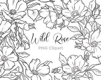 Wild Rose Floral Line Art, Botanical Line Art, Clipart, Hand Drawn, Flower Line art, Flower Clipart, Tattoo Designs, PNG, Commercial Use