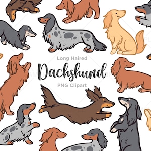 Clipart teckels, Doxie poil long, clipart chien saucisse, Illustrations de chien mignon, dessinés, PNG, usage Commercial à la main