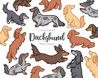ダックスフントのクリップアート、長毛のダックスフント、ソーセージ犬のクリップアート、かわいい犬のイラスト、手描き、PNG、商用利用