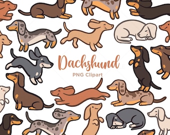 Dachshunds Clipart, Sausage Dog Clip Art, Cute Dog Illustrations, Hand drawn, PNG, Commercial Use