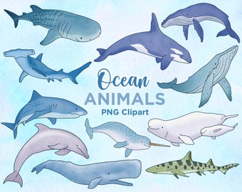 Watercolor Ocean Animals Clipart, Sea Creatures PNG (Digital Download)