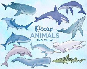 Ocean Animals Clipart, Under the Sea Digital Watercolor, Sea animals, Sea Creatures, Printable, Commercial Use