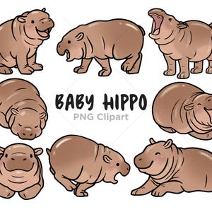 Moo Deng, Baby Nilpferd Clipart, Kawaii Nilpferd, süßes Nilpferd, Nilpferd Illustrationen, Hand gezeichnet, PNG, kommerzielle Nutzung