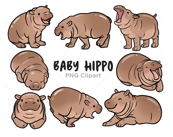 Kawaii Baby Hippo Clipart, Hand-Drawn PNG Illustrations (Commercial Use)