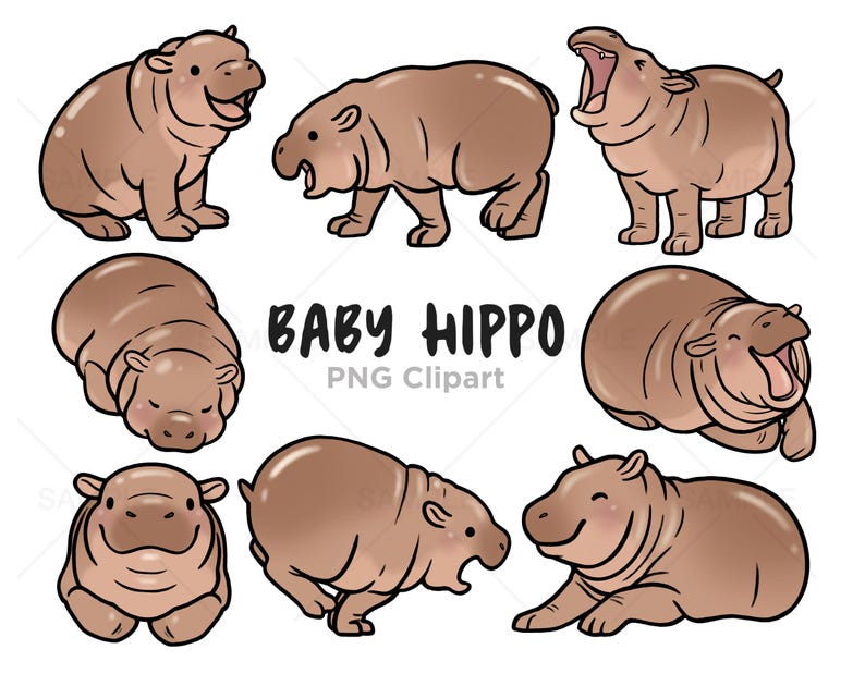 May include: A set of nine cartoon illustrations of baby hippos in various poses. The hippos are brown and have pink noses and mouths. The text "BABY HIPPO PNG Clipart" is written in black letters below the hippos.