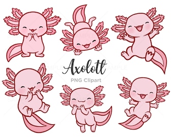 Cute Axolotl Clipart, Kawaii Axolotl, Axolotl Illustrations, Pastel Pink, Hand drawn, PNG, Commercial Use