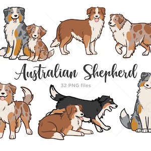 Australian Shepherd Clipart, Aussie Dog Clipart, Sheep Dog Clipart, Cute Dog Illustrations, Hand drawn, PNG, Commercial Use