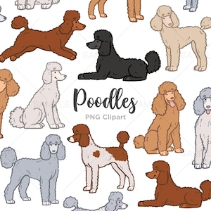Poodle Clipart, Cachorro Clipart, Poodle PNG, Poodles Bonitos, Desenho de Poodle, Desenhado à mão, PNG, Uso Comercial
