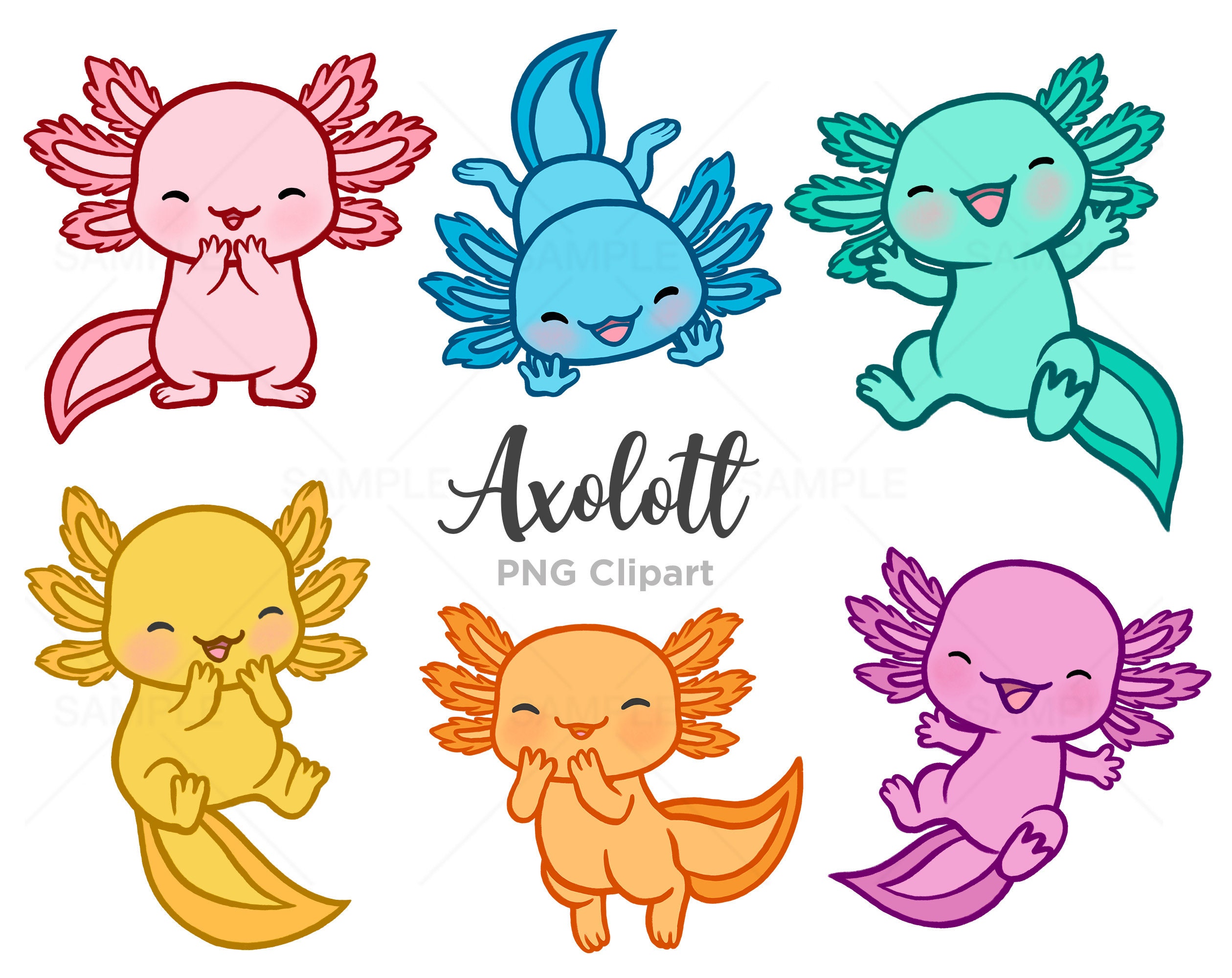 Cute Kawaii Axolotl Clipart, Hand-drawn PNG (commercial Use) - Etsy