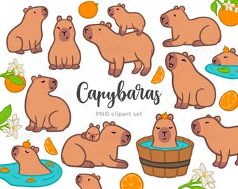 カピバラクリップアート、かわいいカピバラ、手描きカピバライラスト、PNG、商用利用