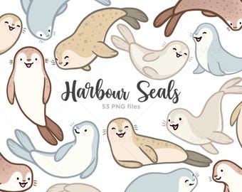 Imágenes prediseñadas de focas lindas, ilustraciones de focas comunes dibujadas a mano (PNG)