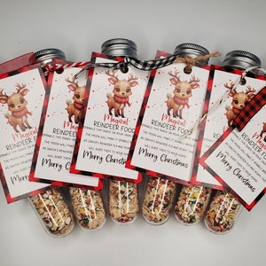 Magical Reindeer Food Tube, Christmas Traditions, Santa, Activities for kids,  Wildlife Friendly