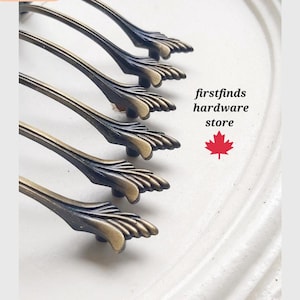 May include: Five antique brass cabinet pulls arranged in a row, each featuring a curved handle and a detailed leaf-like end design. The text firstfinds hardware store is printed next to a red maple leaf icon on the right side of the image.