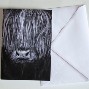 Moody coo greetings card - Highland Cow Illustration - Blank A5 greetings card - Highland cow artwork, hand drawn, Cute Scottish cow
