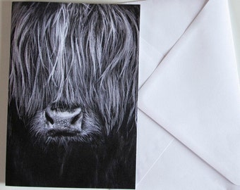 Biglietto di auguri Moody Coo - Illustrazione di mucca delle Highlands - Biglietto di auguri vuoto in formato A5 - Illustrazione di mucca delle Highlands, disegnata a mano, Simpatica mucca scozzese