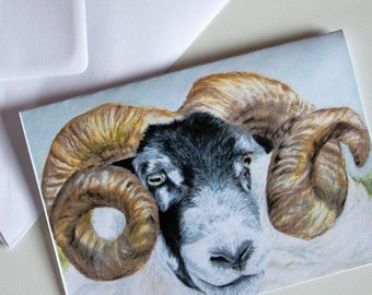 Hand drawn sheep blank greetings cards,Sheep birthday card, sheep illustration, black face sheep, cute sheep drawing, sheep Wall art, tup