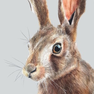 May include: A detailed colored pencil drawing of a hare's head and upper body. The hare has brown fur with long ears, a pink inner ear, and a detailed eye. The background is a solid light gray.