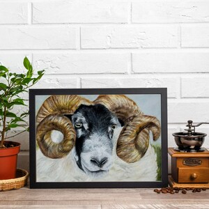 Black face sheep art, quirky wall art, Isle of Skye Art, Original sheep print, Farm animal, gift for farmer, farmers wife, Black Face Tup