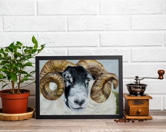 Black face sheep art, quirky wall art, Isle of Skye Art, Original sheep print, Farm animal, gift for farmer, farmers wife, Black Face Tup