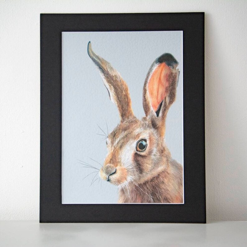 May include: A framed art print featuring a detailed illustration of a hare. The hare is depicted in shades of brown, with a focus on its expressive eyes and long ears. The artwork is set against a light gray background and framed in black.