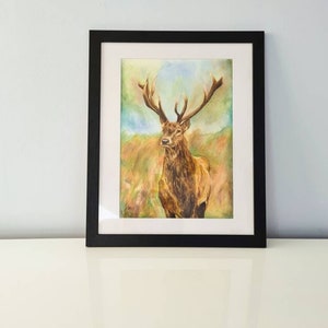 Highland Stag, Scottish red deer in Autumn fine art print, scottish art, deer art, antlers, autumn art, wildlife Wall art