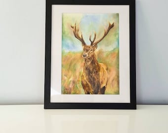 Highland Stag, Scottish red deer in Autumn fine art print, scottish art, deer art, antlers, autumn art, wildlife Wall art
