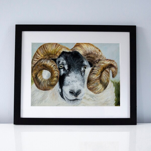 Black Face Sheep - Etsy