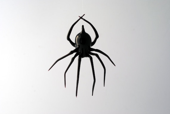 e30-22 Black Widow Spider