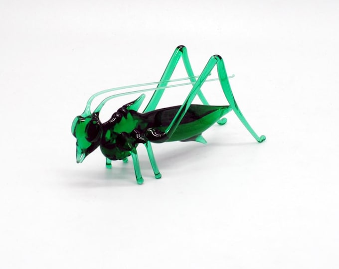 Grasshopper