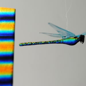 e36-143 Ornement libellule dichroïque