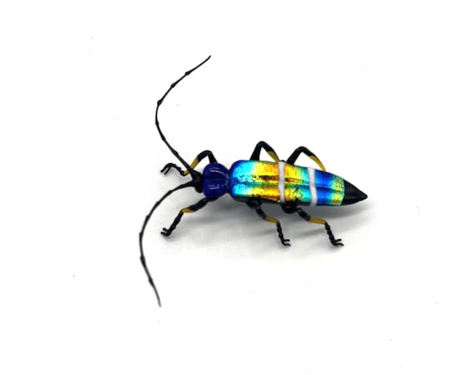 30-12 Jewel Beetle
