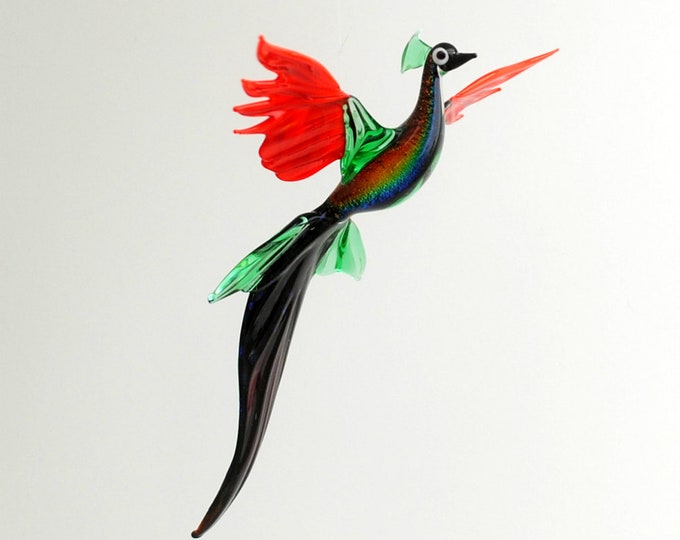 Peacock in flight