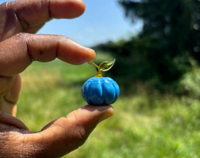 e30-00 Miniature Blue Pumpkin with Brown Stem