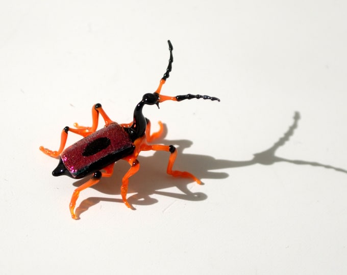 Giraffe Weevil Beetle