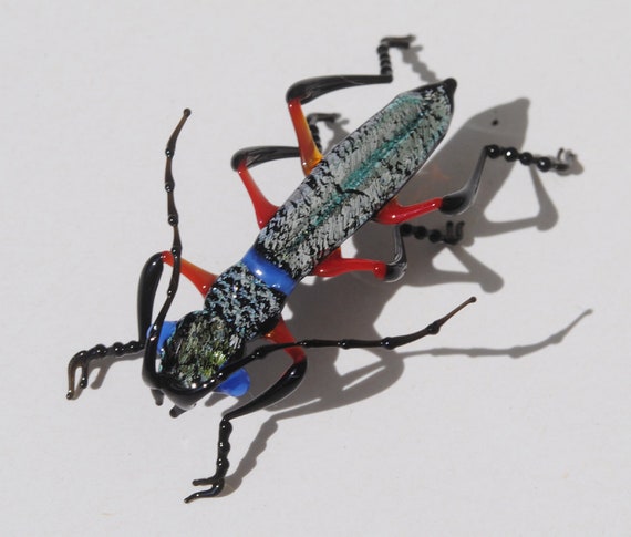 30-12 Phillippino Tiger Beetle